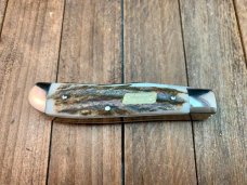 Coleman Seki Japan Made Tiny Trapper in Stag, HANDSOME Little Knife Coleman Seki Japan Made Tiny Trapper in Stag, HANDSOME Little Knife