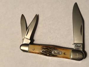 Case V5383 stag