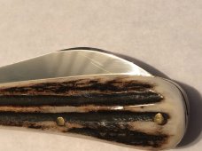 A Wright &Sons pruning knife stag A Wright &Sons pruning knife stag