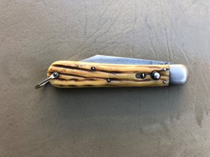 PRESTO Winterbottom bone