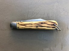 PRESTO Winterbottom bone PRESTO Winterbottom bone