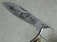Winchester Trademark USA Delrin W20 49027 1st Production Run 4 Blade Congress Knife - NIB Winchester Trademark USA Delrin W20 49027 1st Production Run 4 Blade Congress Knife - NIB