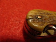 Robert Klaas Antique Kissing Crane Solingen Corkscrew Stag Handle Pocket Knife Robert Klaas Antique Kissing Crane Solingen Corkscrew Stag Handle Pocket Knife