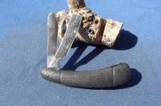 Jaguar 2 blade pocket knife Jaguar 2 blade pocket knife