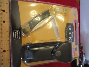 Buck  Folding Hunter Model 110 