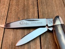 Case Appaloosa Bone Peanut 1979, Strikingly Beautiful 