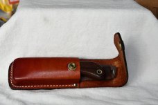 Queen Cutlery # 46 Abalone Wharncliff Pocket  Knife   #71