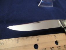 Case XX Pretty Red Bone Muskrat Case XX Pretty Red Bone Muskrat
