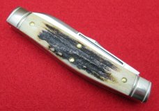 Buck Creek Indian Head Solingen Germany Bone Stockman Knife Buck Creek Indian Head Solingen Germany Bone Stockman Knife