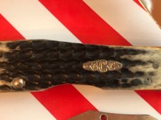 Case xx 2002 Cheetah Knife (MDL# 6111 1/2) w/ Burnt Moss Bone Handles -Missing Pin Case xx 2002 Cheetah Knife (MDL# 6111 1/2) w/ Burnt Moss Bone Handles -Missing Pin