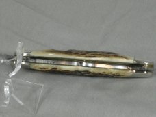 QUEEN CUTLERY STAG CIGAR 1981 NKCA CLUB KNIFE QUEEN CUTLERY STAG CIGAR 1981 NKCA CLUB KNIFE