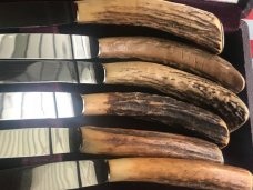 Vint JA Henckels Friodur Set of 6 Stag Handled Steak Knives -Solingen -USED items Good for Camping Vint JA Henckels Friodur Set of 6 Stag Handled Steak Knives -Solingen -USED items Good for Camping