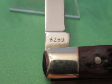 Case XX USA 1976 Small 2 blade Congress Pattern # 6269 Case XX USA 1976 Small 2 blade Congress Pattern # 6269