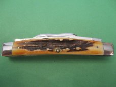 Case XX USA Stag Congress Pattern # 5488 Case XX USA Stag Congress Pattern # 5488