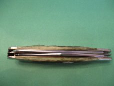 Case XX USA 1985 Trapper Nut Pattern # G6240 For The NKCA Case XX USA 1985 Trapper Nut Pattern # G6240 For The NKCA