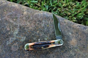 GEC NORTHFIELD STAG PEMBERTON 062219 