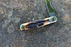 GEC NORTHFIELD STAG PEMBERTON 062219 GEC NORTHFIELD STAG PEMBERTON 062219