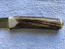 MUELA WHITETAIL STAG HANDLE KNIFE MUELA WHITETAIL STAG HANDLE KNIFE