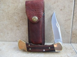 Buck 110 Finger Groove Lockback Hunter 
