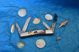 Abalone Congress 4 blade nearly 4"  Closed