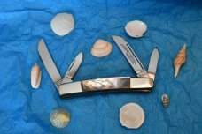 Abalone Congress 4 blade nearly 4" Closed Abalone Congress 4 blade nearly 4" Closed