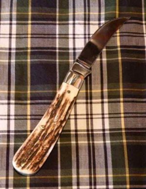 A Wright & Son, Sheffield, England Peach Pruner Knife in Stag with Wharncliffe Blade