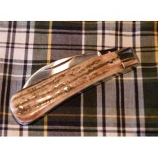 A Wright & Son, Sheffield, England Peach Pruner Knife in Stag with Wharncliffe Blade A Wright & Son, Sheffield, England Peach Pruner Knife in Stag with Wharncliffe Blade