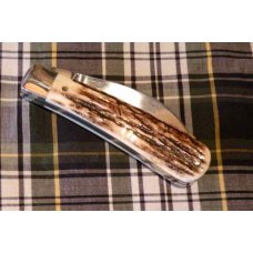 A Wright & Son, Sheffield, England Peach Pruner Knife in Stag with Wharncliffe Blade A Wright & Son, Sheffield, England Peach Pruner Knife in Stag with Wharncliffe Blade