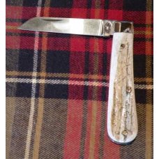 A. Wright & Son Sheffield, England Large Lambsfoot Knife with Stag Scales and Sheepsfoot Blade A. Wright & Son Sheffield, England Large Lambsfoot Knife with Stag Scales and Sheepsfoot Blade