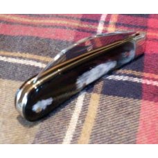 A. Wright & Son Sheffield, England Peach Pruner Knife with Buffalo Horn Scales and Wharncliffe Blade A. Wright & Son Sheffield, England Peach Pruner Knife with Buffalo Horn Scales and Wharncliffe Blade