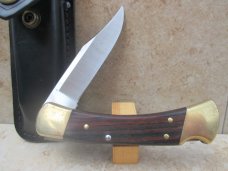 Buck 110 Folding Hunter 