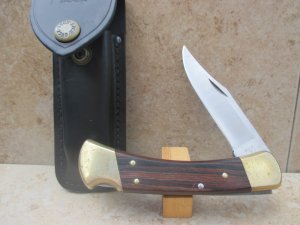 Buck 110 Folding Hunter 