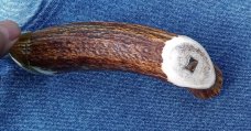 Case Davy Crockett Bowie 1836 – Restored