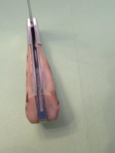 Browning Stag Small Folding Lock Back Model 307