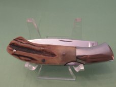 Browning Stag Small Folding Lock Back Model 307