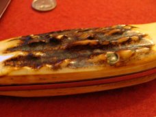 Case Blue Scroll Clasp 1977 Stag #5172