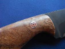 Custom Barry Dawson Fixed Blade Hunting, Camping, Knife Mosaic Pins Maple Burl Handle & Kydex Sheath Custom Barry Dawson Fixed Blade Hunting, Camping, Knife Mosaic Pins Maple Burl Handle & Kydex Sheath
