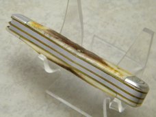 Cripple Creek USA by Bob Cargill Stag American Edge Collectors Assn. Jack Knife 1 of 95 c.1985