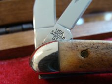 Case XX Tiny Texas Toothpick #50096 Stag Handles 2007 Case XX Tiny Texas Toothpick #50096 Stag Handles 2007
