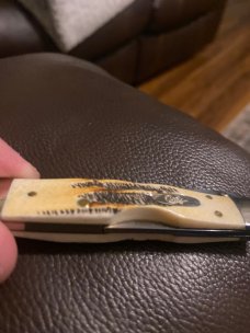 New Case XX 6.511 1/2L SS BoneStag Cheetah Cub With Nickel silver Bolsters & A Single Blade New Case XX 6.511 1/2L SS BoneStag Cheetah Cub With Nickel silver Bolsters & A Single Blade