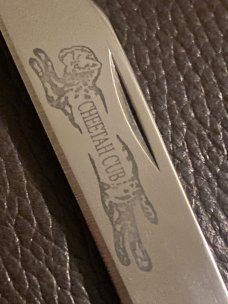 New Case XX 6.511 1/2L SS BoneStag Cheetah Cub With Nickel silver Bolsters & A Single Blade New Case XX 6.511 1/2L SS BoneStag Cheetah Cub With Nickel silver Bolsters & A Single Blade