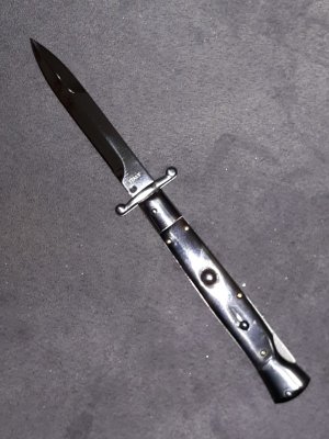 Asian swinguard 