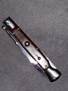 Asian swinguard Asian swinguard