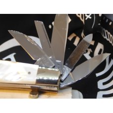 Fight'n Rooster 10 blade congress prototype MOP Scrimshaw