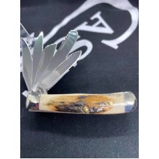 beautiful Mammoth Ivory Case Tiny Beast 2009 beautiful Mammoth Ivory Case Tiny Beast 2009