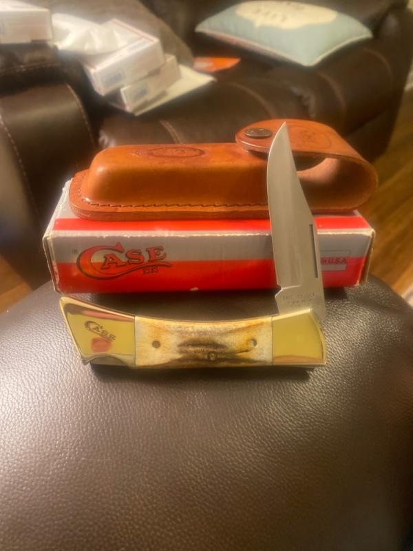 New Case XX USA 19 Brad Pa 91 5159L SS Fat Stag Hammerhead With Brass Bolster , Sheath NIB New Case XX USA 19 Brad Pa 91 5159L SS Fat Stag Hammerhead With Brass Bolster , Sheath NIB