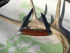 Great Eastern Tidioute Dixie Possum Skinner 828218 Natural Canvas Micarta NEW! Great Eastern Tidioute Dixie Possum Skinner 828218 Natural Canvas Micarta NEW!
