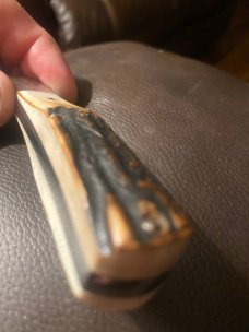 New Tuna Valley Phoenix Jack Burnt Super Fat Stag With Damascus Blades New In Tube New Tuna Valley Phoenix Jack Burnt Super Fat Stag With Damascus Blades New In Tube