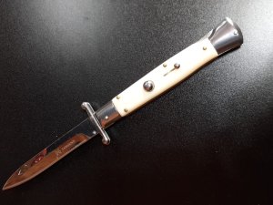 10" Asian swinguard 