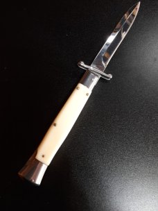 10" Asian swinguard 10" Asian swinguard
